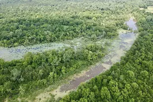 14546 Hwy 271, Tyler, TX 75701 - Photo 10