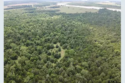 14546 Hwy 271, Tyler, TX 75701 - Photo 4
