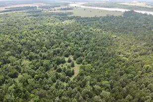 14546 Hwy 271, Tyler, TX 75701 - Photo 4