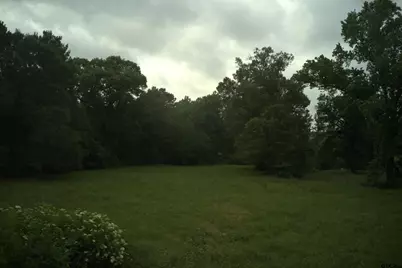 14546 Hwy 271, Tyler, TX 75701 - Photo 2