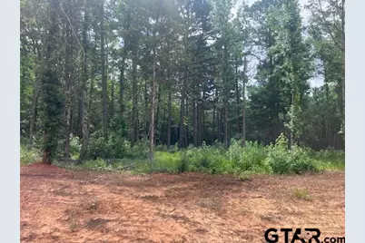 Tbd High Pines Drive, Tyler, TX 75708 - Photo 2