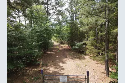 Tbd 16 +/- Ac Vz County Road 4814, Ben Wheeler, TX 75754 - Photo 2