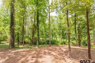 1445 Lakeshore, Hideaway, TX 75771 - Photo 38