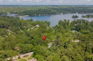 1445 Lakeshore, Hideaway, TX 75771 - Photo 46