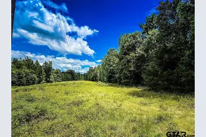 599 Jones Farm Rd, Avinger, TX 75630 - Photo 16