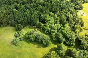 519 An County Road 45, Palestine, TX 75803 - Photo 6