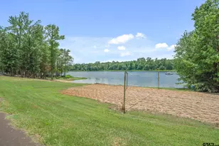 1056 Co Rd 3810, Hawkins, TX 75765 - Photo 40