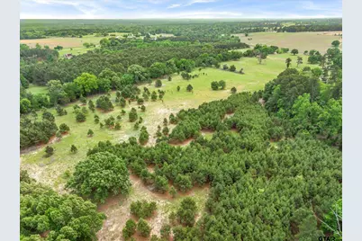 Tbd N Sh-110, Tyler, TX 75704 - Photo 10