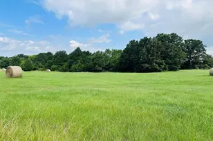 Tbd Belles Ln, Brownsboro, TX 75756 - Photo 1