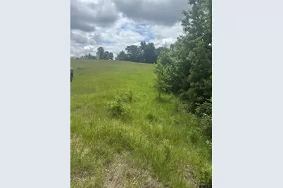 Tbd Belles Lane, Brownsboro, TX 75756 - Photo 4
