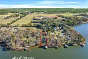 380 S County Road 4837, Winnsboro, TX 75494 - Photo 4