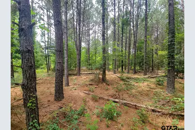 21135 Fm 1252, Winona, TX 75706 - Photo 24