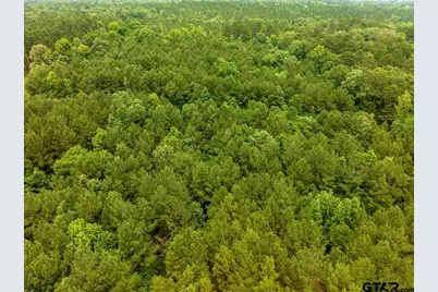 21135 Fm 1252, Winona, TX 75706 - Photo 18