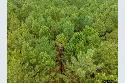 21135 Fm 1252, Winona, TX 75706 - Photo 6