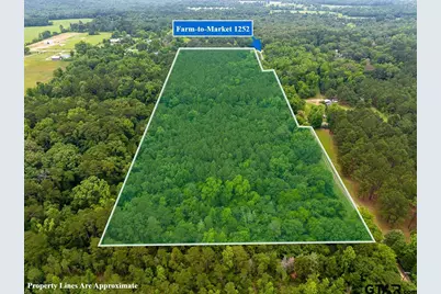 21135 Fm 1252, Winona, TX 75706 - Photo 2