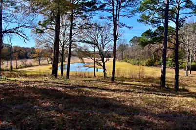 5730 E Fm 323, Palestine, TX 75801 - Photo 6