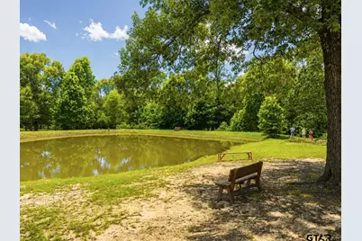 252 Private Road 6955, Alba, TX 75410 - Photo 42