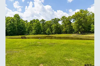 252 Private Road 6955, Alba, TX 75410 - Photo 46