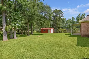 10424 Cr 1265 (Flintridge), Flint, TX 75762 - Photo 34