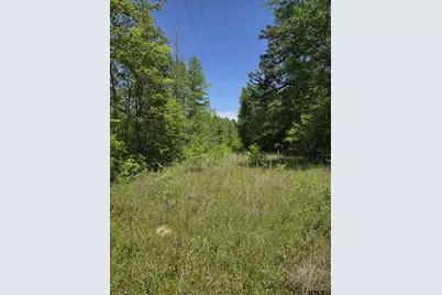 Tbd C R 421, Tyler, TX 75704 - Photo 10