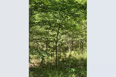 Tbd C R 421, Tyler, TX 75704 - Photo 14