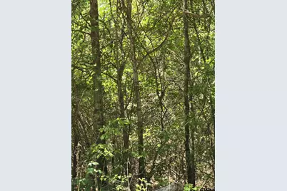 Tbd C R 421, Tyler, TX 75704 - Photo 6