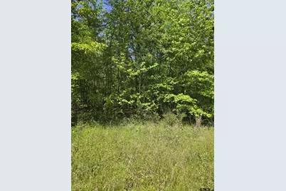 Tbd C R 421, Tyler, TX 75704 - Photo 8