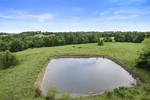 685 Co Rd 1320, Bogata, TX 75417 - Photo 46