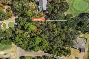 Tbd Golfing Green Cove, Holly Lake Ranch, TX 75765 - Photo 1