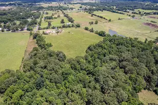 432 Cr 3204, Quitman, TX 75783 - Photo 40