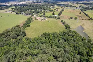 432 County Road 3204, Quitman, TX 75783 - Photo 6