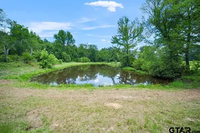 541 Cr 3135, Quitman, TX 75783 - Photo 44