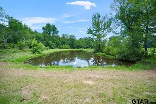 541 Co Rd 3135, Quitman, TX 75783 - Photo 44