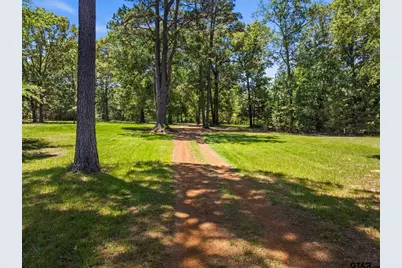 4469 County Road 1579, Avinger, TX 75630 - Photo 42