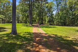 4469 Co Rd 1579, Avinger, TX 75630 - Photo 42