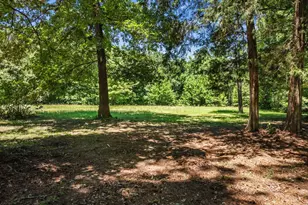 4469 Co Rd 1579, Avinger, TX 75630 - Photo 40