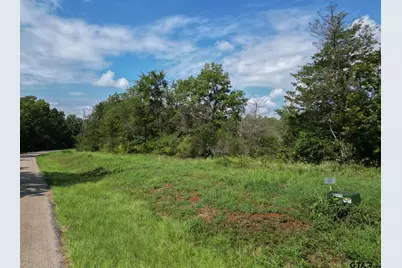 11163 Moser Ln, Whitehouse, TX 75791 - Photo 4