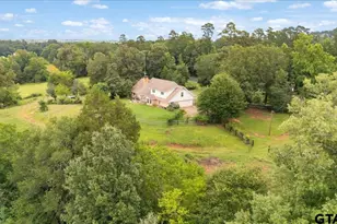 21675 Hwy 110 N, Troup, TX 75789 - Photo 40