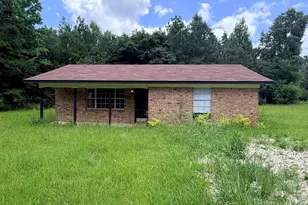 5142 E County Road 3185, Mt Enterprise, TX 75681 - Photo 2