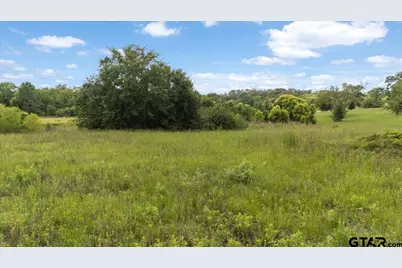 Tbd Cr 1125, Tyler, TX 75704 - Photo 6