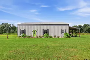 8689 FM 993, Pittsburg, TX 75686 - Photo 1