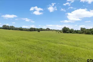 3989 Bob O Link, Gilmer, TX 75645 - Photo 36