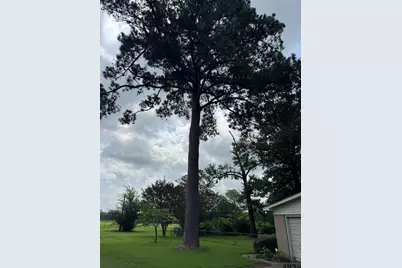 992 C R 1147 N, Tyler, TX 75704 - Photo 4