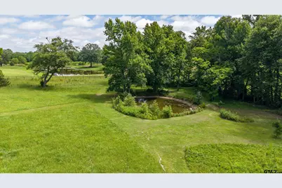 15753 County Rd 223, Tyler, TX 75707 - Photo 12