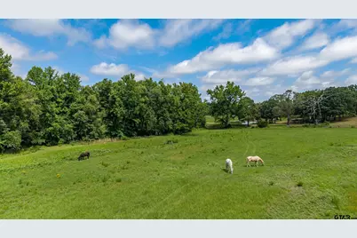 15753 County Rd 223, Tyler, TX 75707 - Photo 16