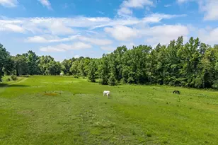15753 County Rd 223, Tyler, TX 75707 - Photo 14