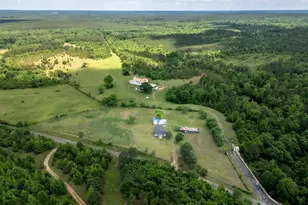 8869 Co Rd 1617, Avinger, TX 75630 - Photo 28
