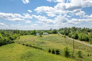8869 Co Rd 1617, Avinger, TX 75630 - Photo 40