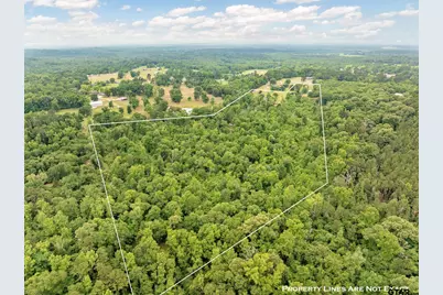 Tbd Fm 2419, Palestine, TX 75801 - Photo 2