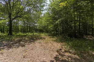7603 Lakeshore Dr, Tyler, TX 75707 - Photo 2
